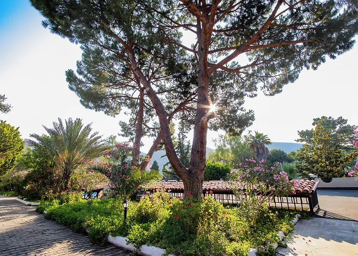 Pigale Family Club Θέρετρο 3*